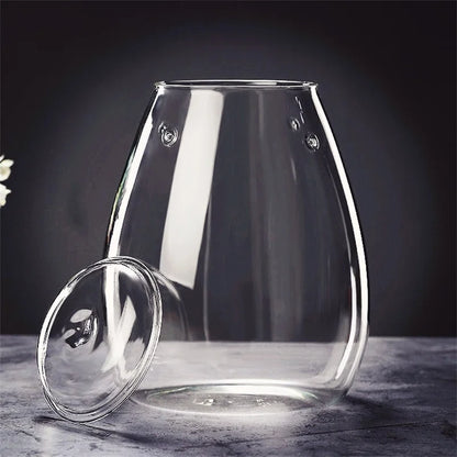 Desktop glass sealed terrarium bottle with bonsai and moss landscape