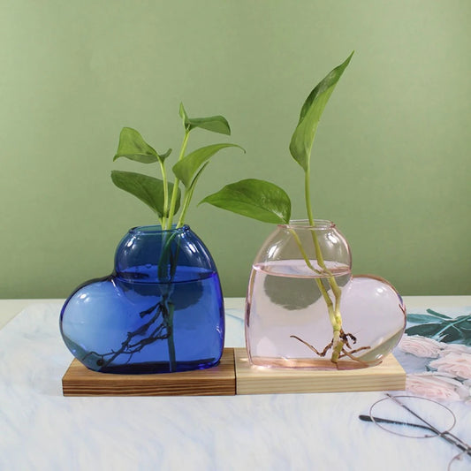 Transparent glass heart hydroponic vase Style A with small plant cutting in water