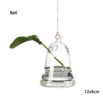 Birds glass hanging vase with air plant for minimalist wall botanical display