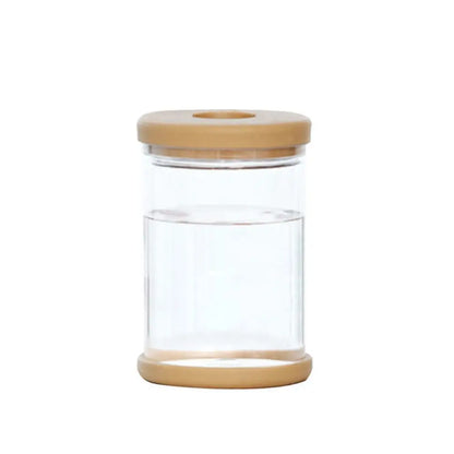 Clear plastic hydroponic flower vase with single stem on clean white background