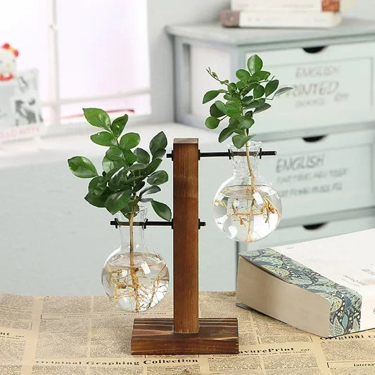 Wooden frame glass terrarium vase with plant on table