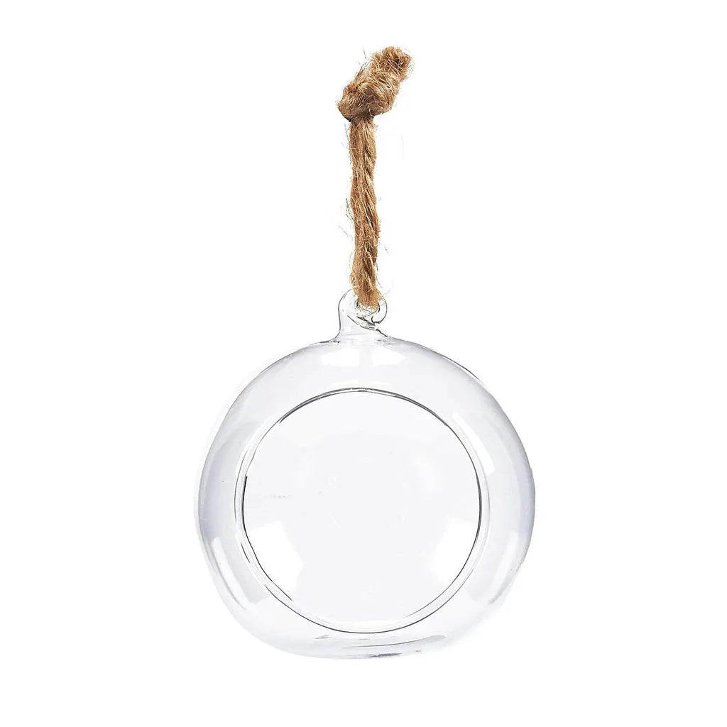 Oval clear glass hanging planter filled with trailing green succulent