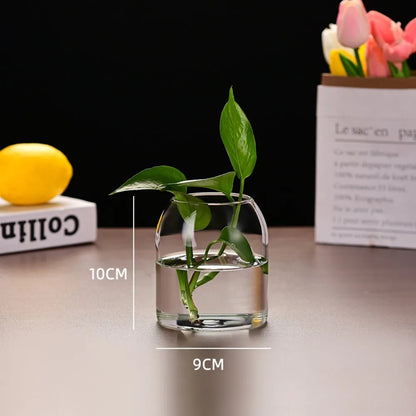 Small modern glass vase with water beads and trailing plant cutting