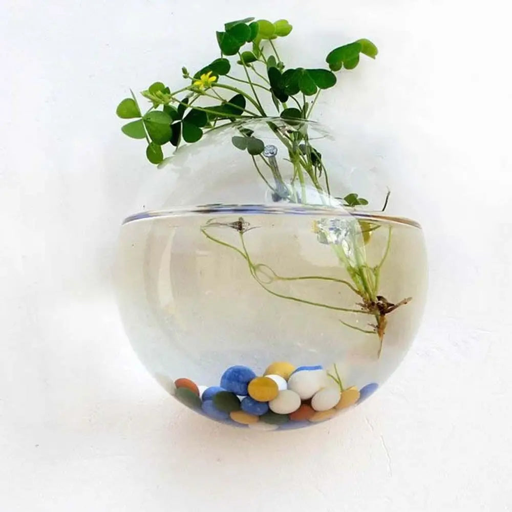 Medium 10cm round glass hanging terrarium on home interior wall