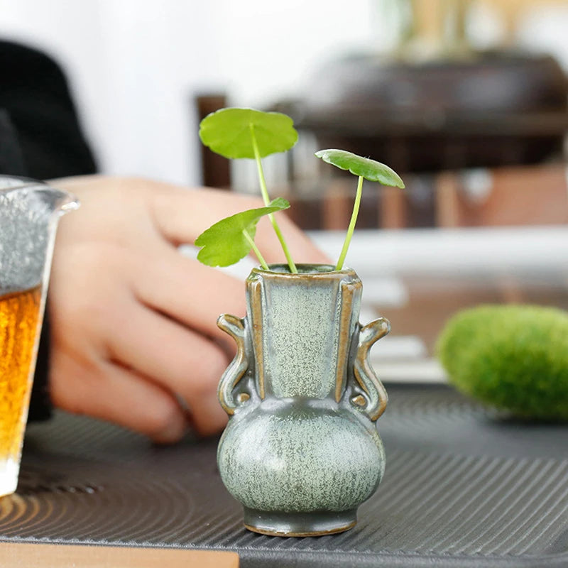 Retro ceramic mini vase hydroponic display on bookshelf