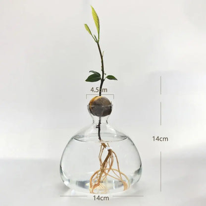 Close-up of decorative sticker design on avocado seed glass growing vase