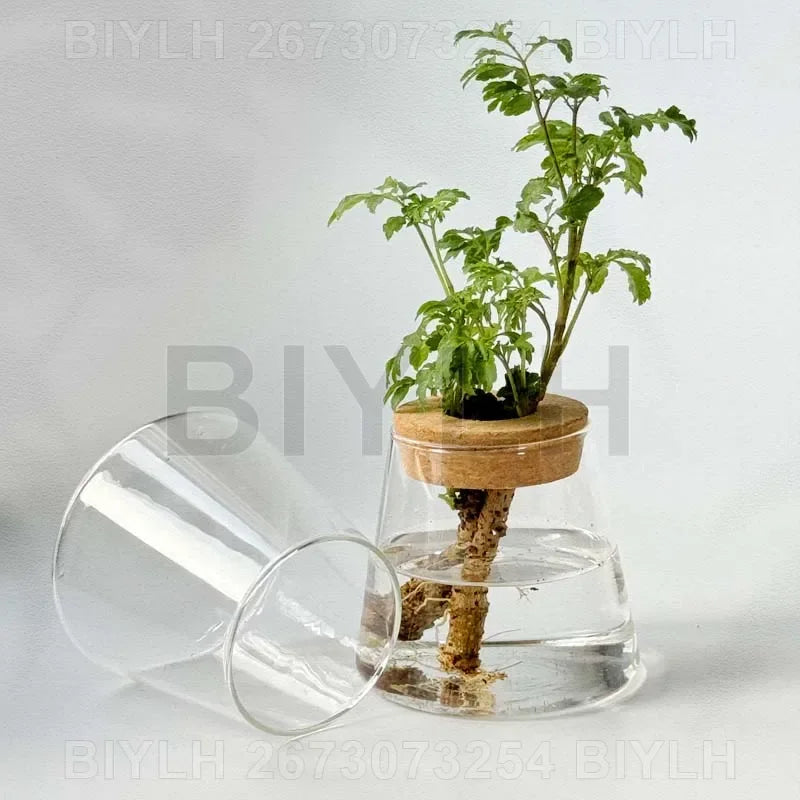 Nordic volcanic glass vase hydroponic tabletop plant arrangement