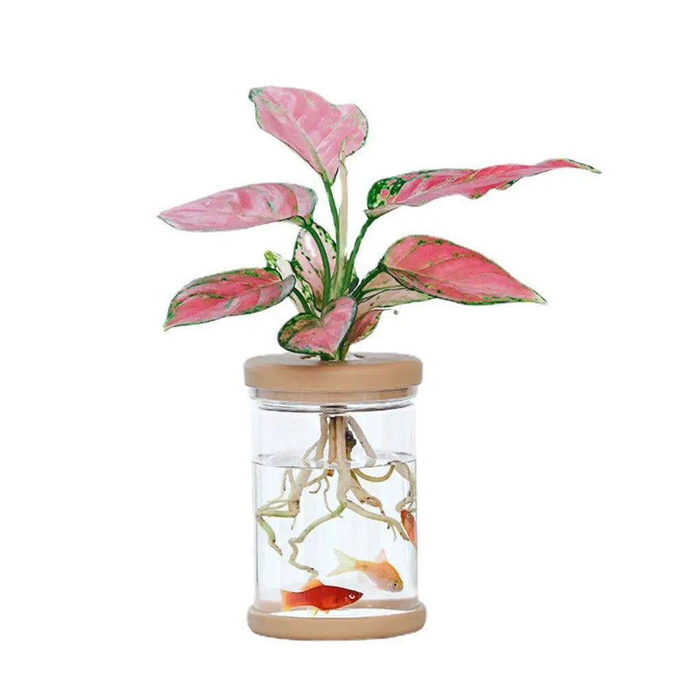 Transparent plastic vase with fresh flowers for clean modern home display