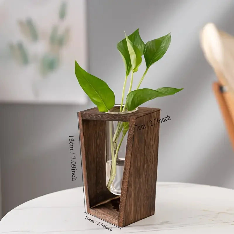 Close-up of wood frame holding glass hydroponic vessel with plant cutting
