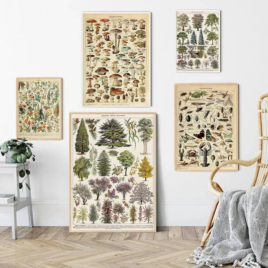 Adolphe Millot Botanical Mushrooms Herbs Canvas Wall Art