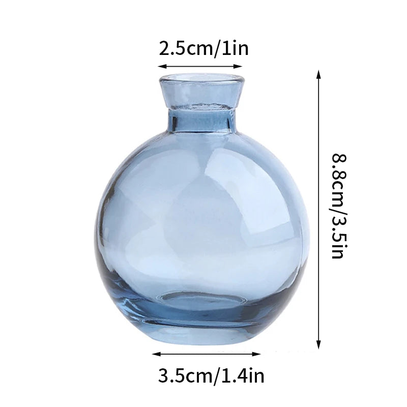 Brown hydroponic glass vase five style variants displayed