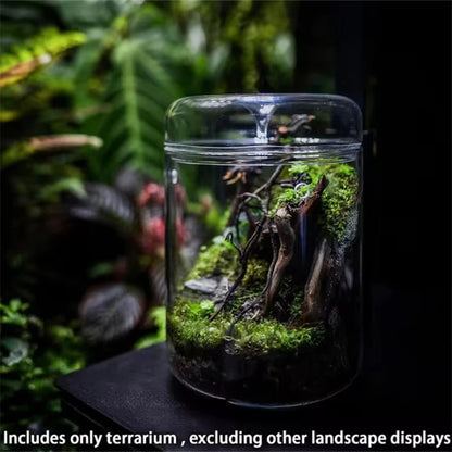 Close-up of glass dome lid and base of micro landscape terrarium