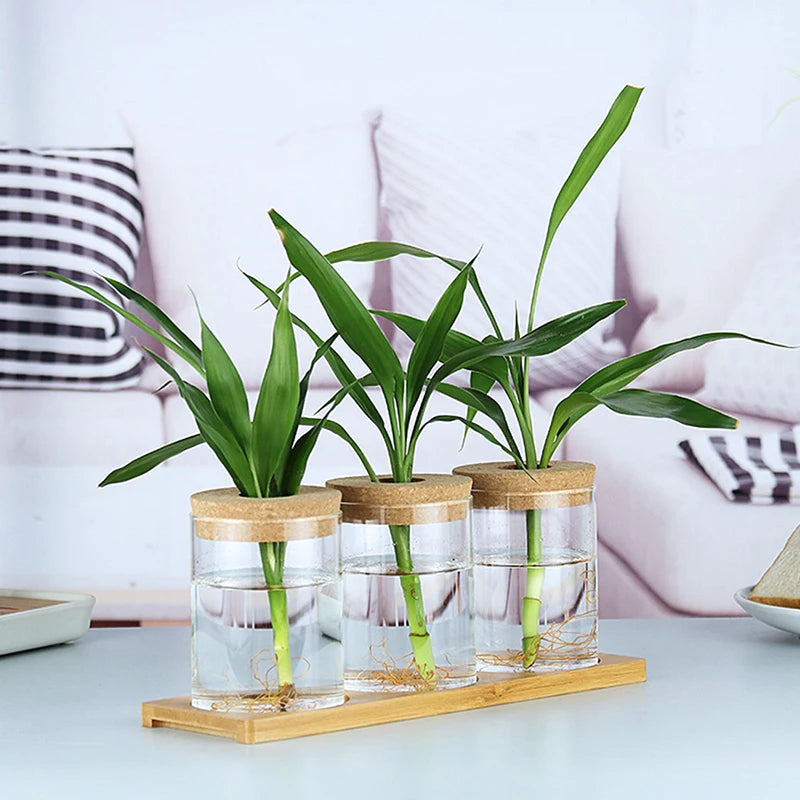 Resin hydroponic vase 10cm and 12cm sizes side by side