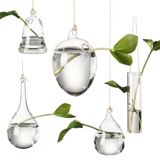 Glass tube hanging hydroponic vase with plant stem display